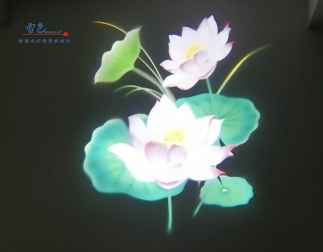 雷色光電｜LED·夢(mèng)幻水影燈/LS-SY100～LS-SY600(圖15)