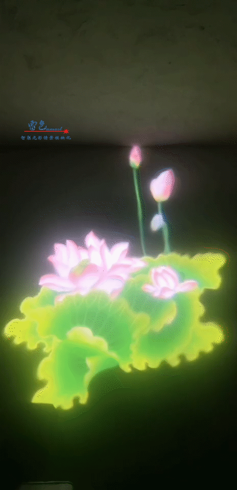 雷色光電｜LED·夢(mèng)幻水影燈/LS-SY100～LS-SY600(圖23)